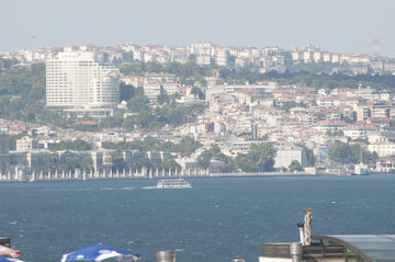 گلدن هورن سیرکچی