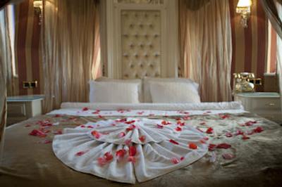 گلدن هورن سیرکچی