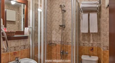 گلدن هورن سیرکچی