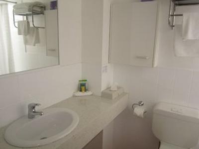 بست وسترن پارکسید متر این