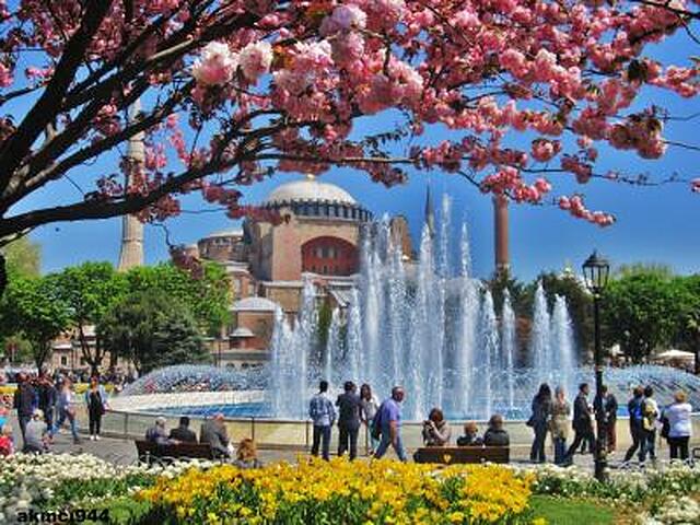 می هتل استانبول