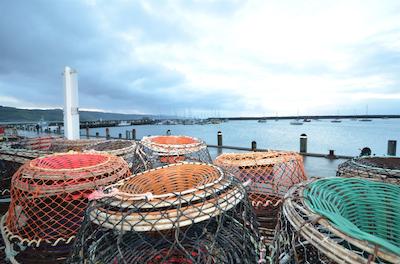 بست وسترن اپلو ب متل اند اپارتمنتز