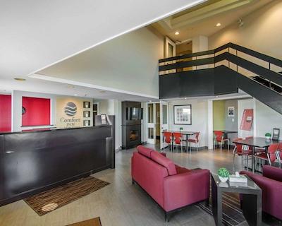 کمفرت این اسویفت کورنت