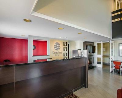 کمفرت این اسویفت کورنت