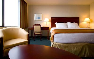 کاست دیسوری این