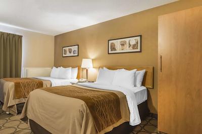 کمفرت این کبورگ