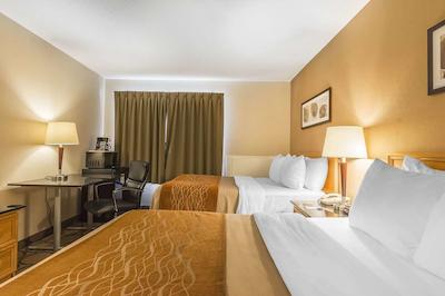 کمفرت این کبورگ