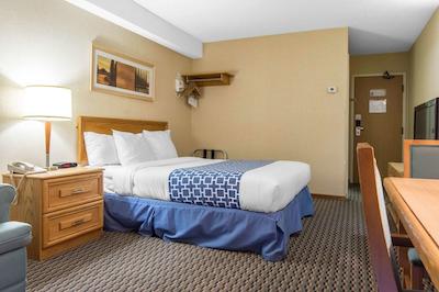 اکنو لج آیرپرت