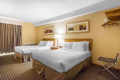 اکنو لج آیرپرت