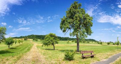 بست وسترن ویکترز رسیدنز-هتل ردنهف