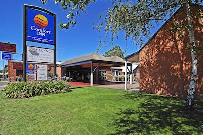 کمفرت این مین لید