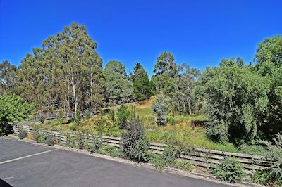 کمفرت این مین لید