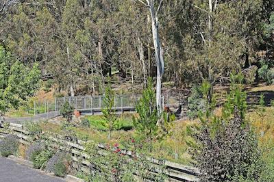 کمفرت این مین لید