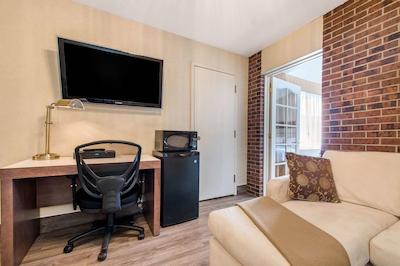 کوالیتی این اند سویتز اند سنتر د کنفرنسز گاتینیو