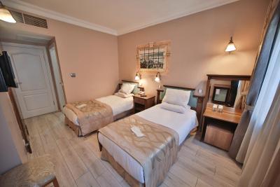 آرتفس هتل استانبول