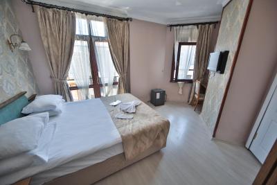 آرتفس هتل استانبول