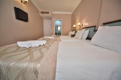 آرتفس هتل استانبول