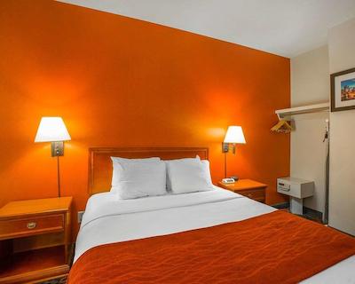 کمفرت این اند سویتز ونیورسیتی