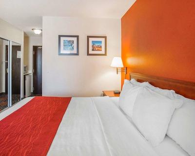 کمفرت این اند سویتز ونیورسیتی