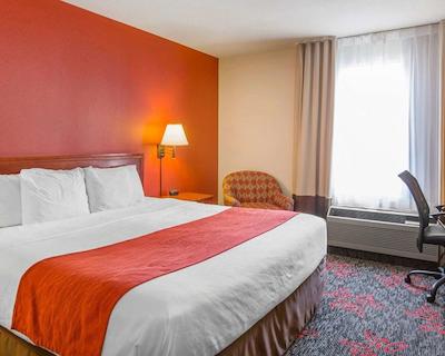 کمفرت این اند سویتز ونیورسیتی