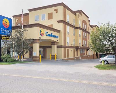 کمفرت این اند سویتز ونیورسیتی