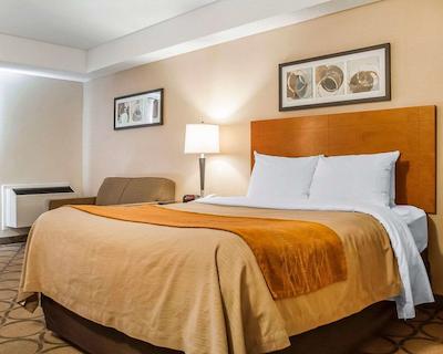 کمفرت این نومارکت