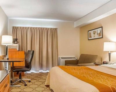 کمفرت این نومارکت