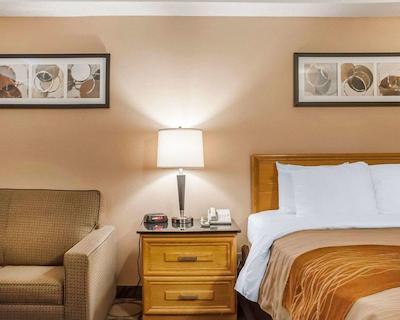 کمفرت این نومارکت