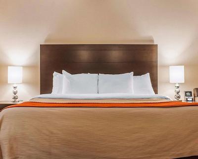 کمفرت این نومارکت