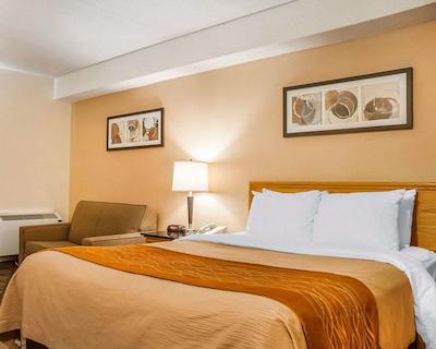 کمفرت این نومارکت