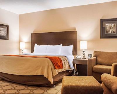 کمفرت این نومارکت