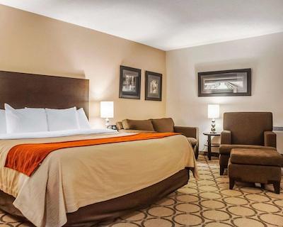 کمفرت این نومارکت