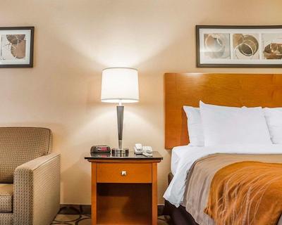 کمفرت این نومارکت