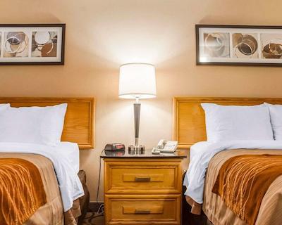 کمفرت این نومارکت