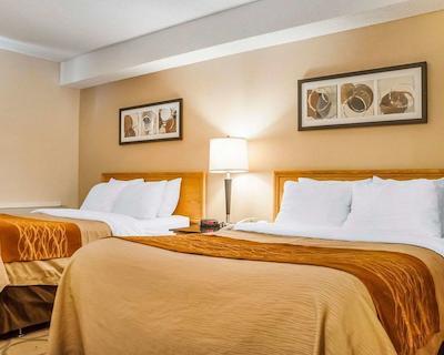 کمفرت این نومارکت