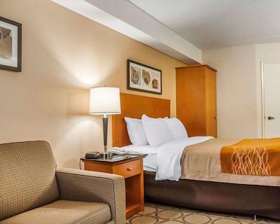 کمفرت این نومارکت