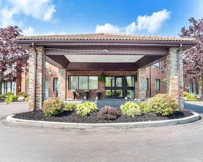 کمفرت این نومارکت