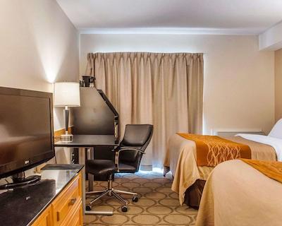 کمفرت این نومارکت