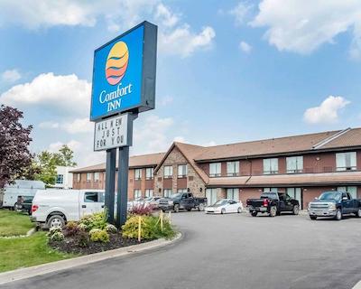 کمفرت این نومارکت