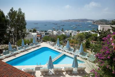 کاکتوز ما مانزارا