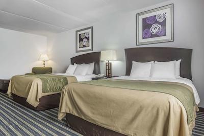 کمفرت این اند سویتز