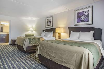 کمفرت این اند سویتز