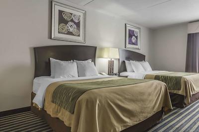 کمفرت این اند سویتز