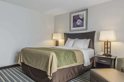 کمفرت این اند سویتز