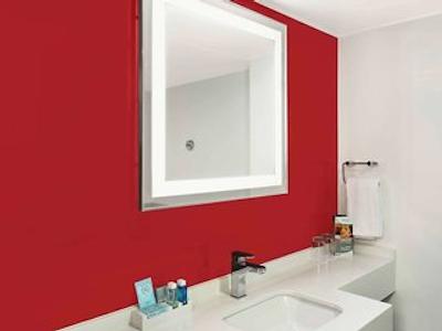 نوتل اسیدنی پاراماتا