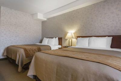 کمفرت این اند سویتز