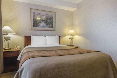 کمفرت این اند سویتز