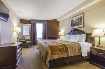 کمفرت این اند سویتز