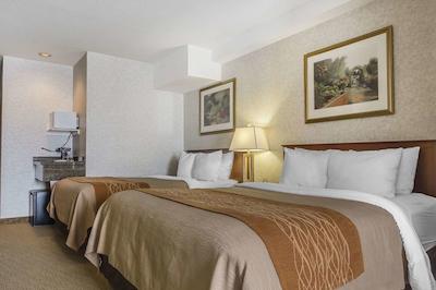 کمفرت این اند سویتز