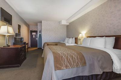 کمفرت این اند سویتز